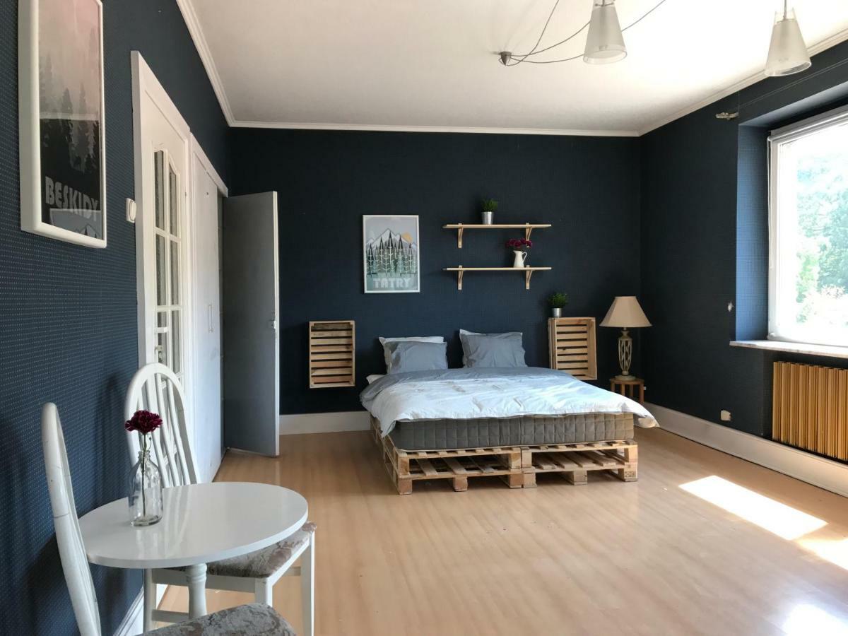 Apartament Przy Rynku Wisla Bagian luar foto